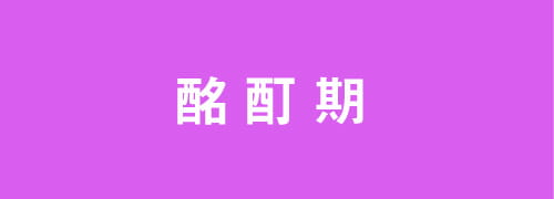 酩酊期